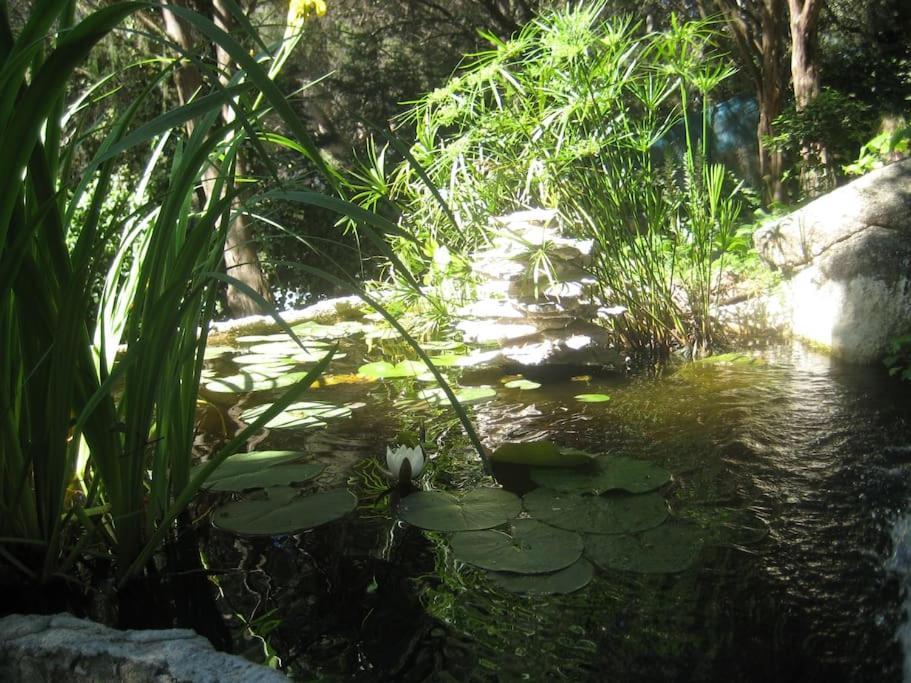 La Rocalla Del Tietar Villa Sotillo de la Adrada Buitenkant foto