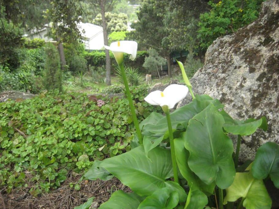 La Rocalla Del Tietar Villa Sotillo de la Adrada Buitenkant foto