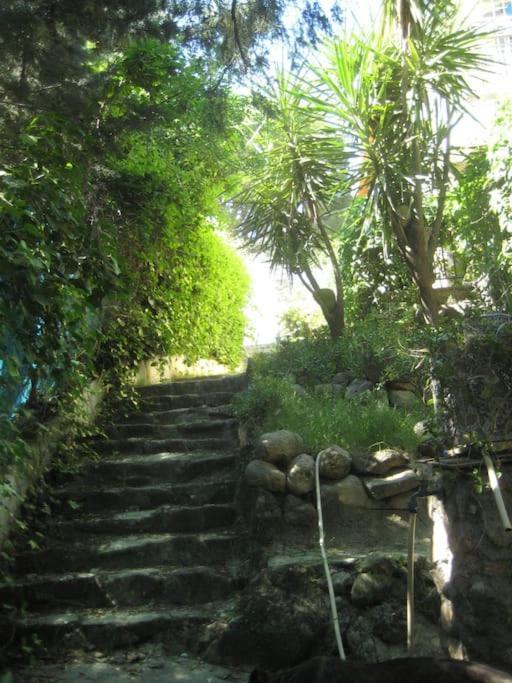 La Rocalla Del Tietar Villa Sotillo de la Adrada Buitenkant foto